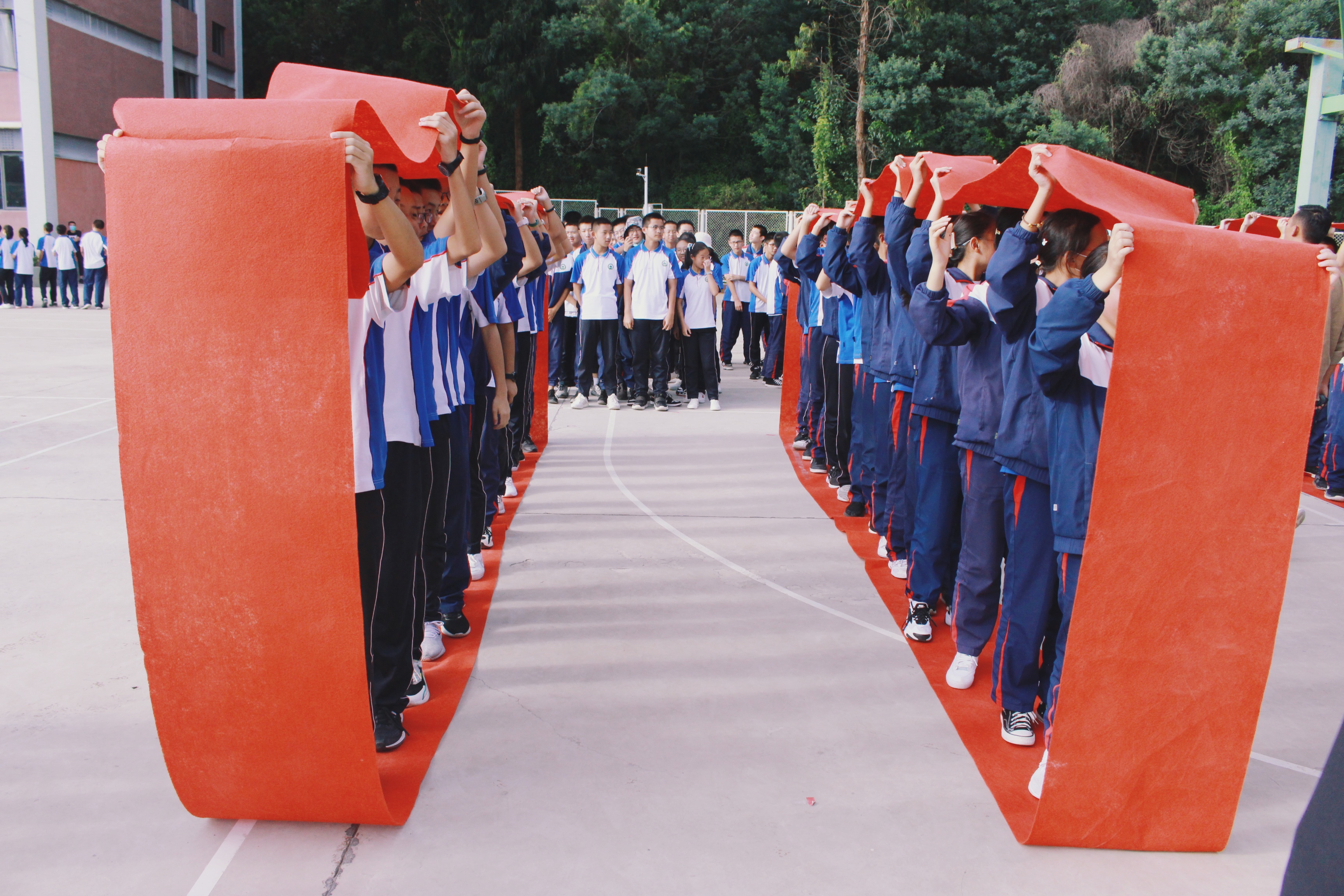 IMG_3856-01.jpeg IMG_3856-01.jpeg