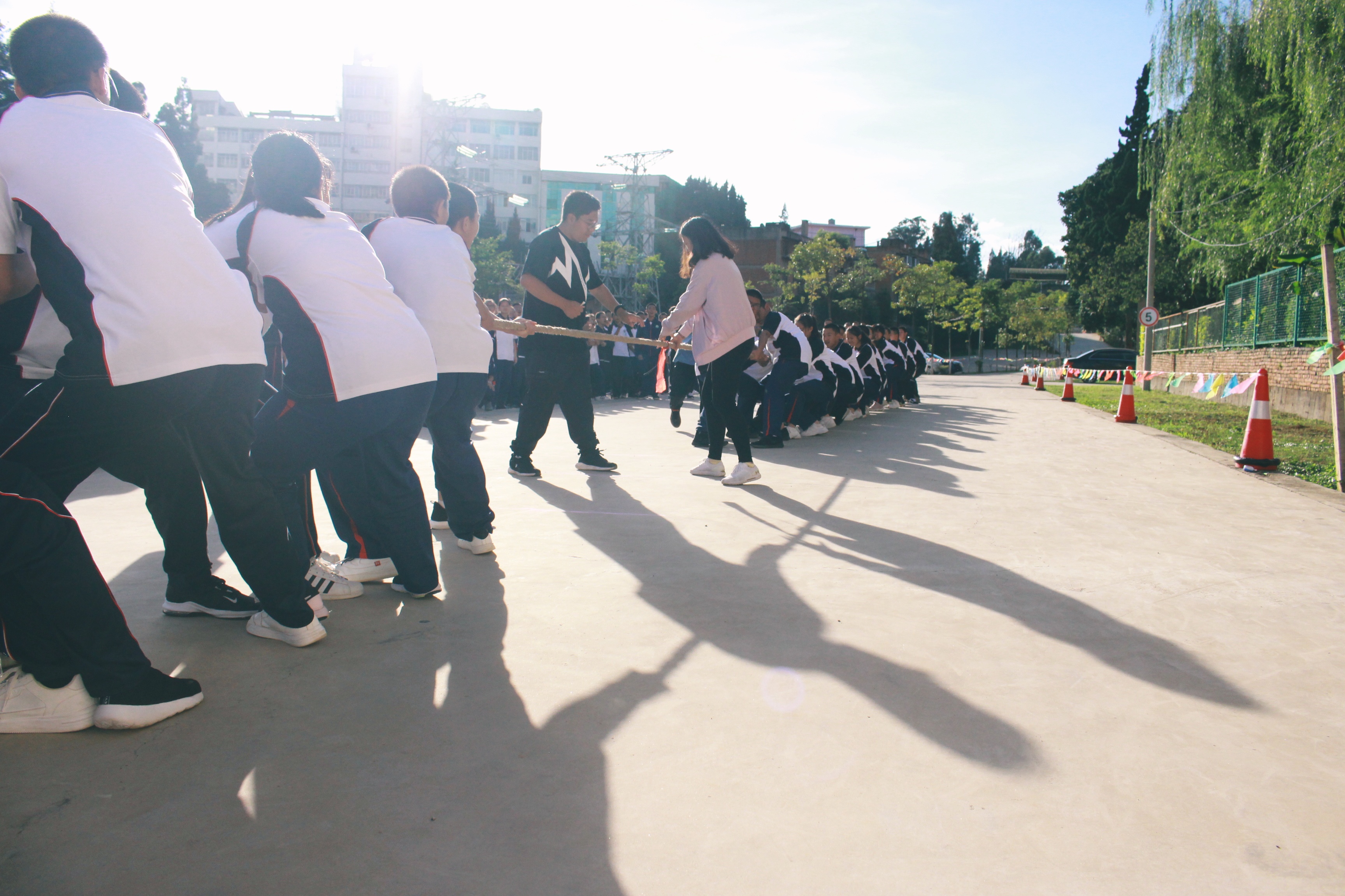 IMG_4001-01.jpeg IMG_4001-01.jpeg